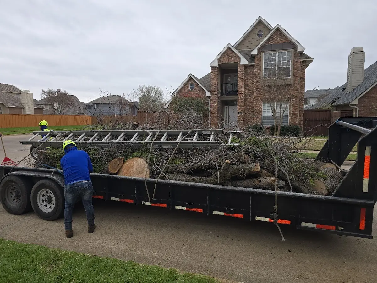 Expert Lot Clearing with proper safety equipment in Beaman
